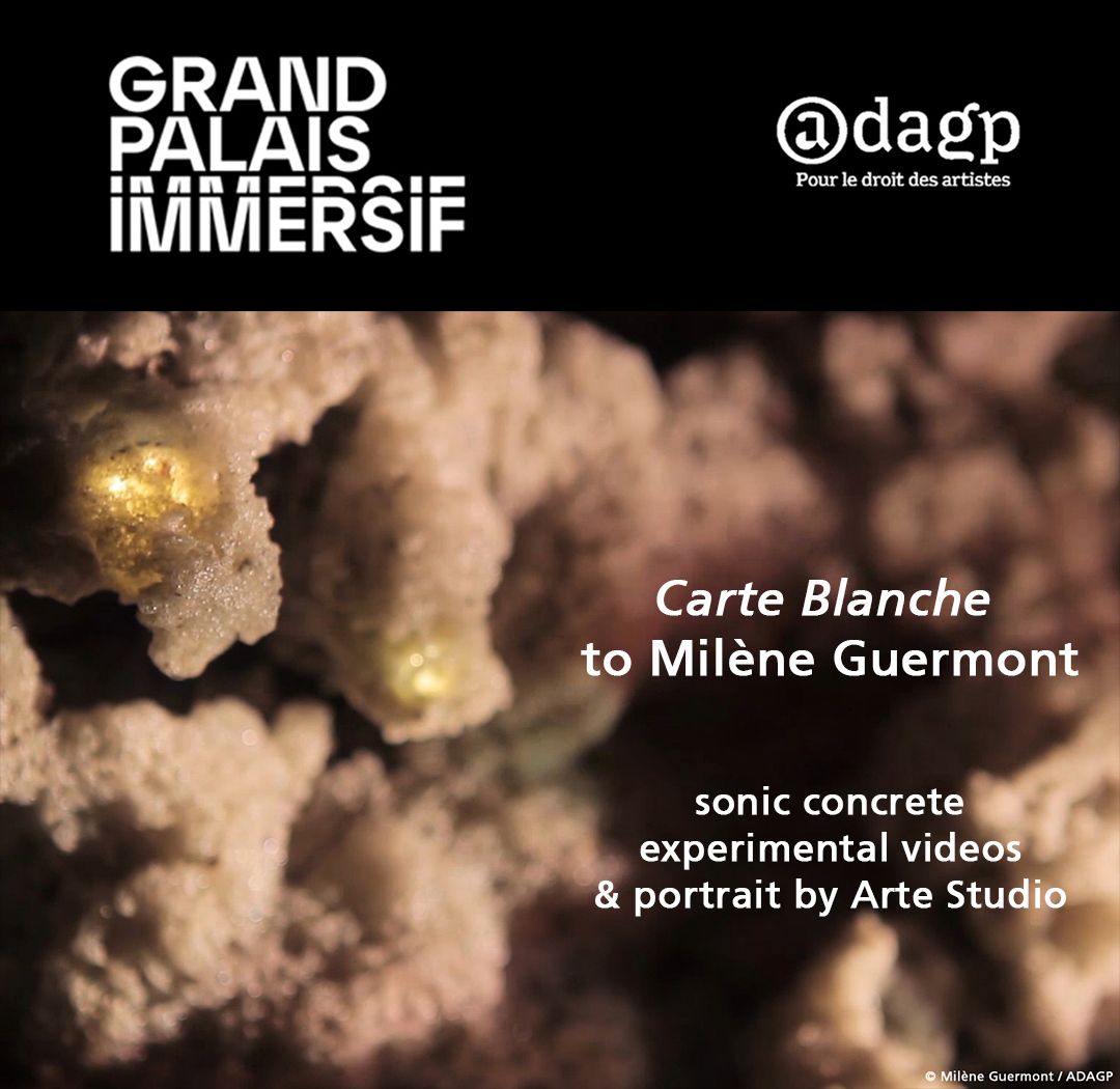 Carte blanche au Grand Palais Immersif — 35/35