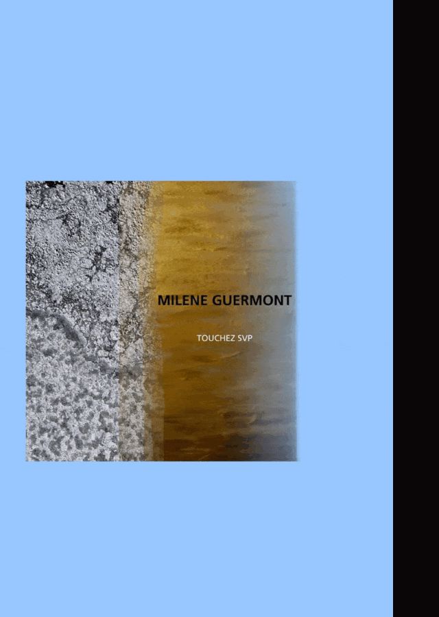 First monograph — 2/24