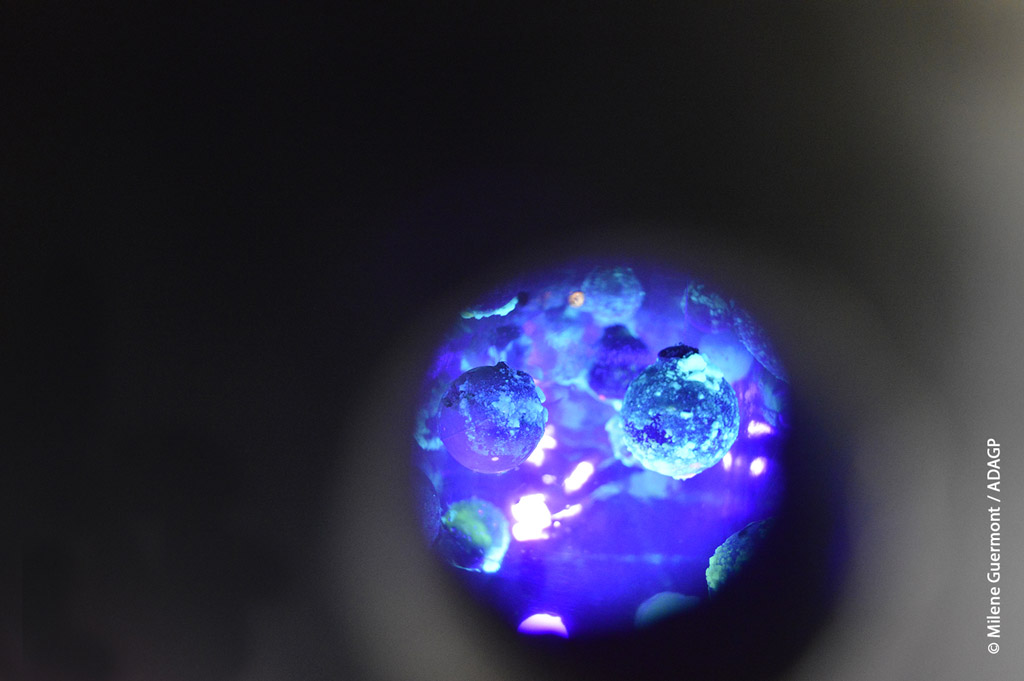 PLANETES PHOSPHO — 1/16