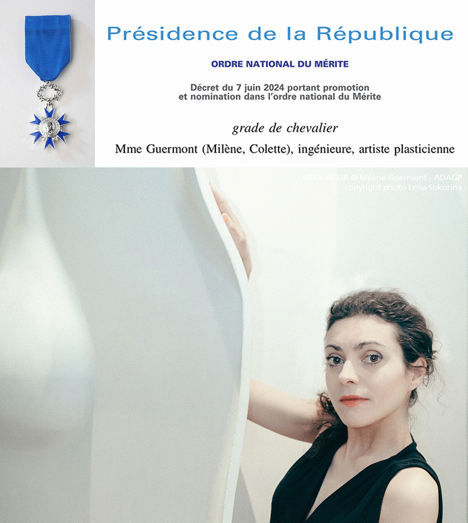 Cérémonie de chevalier de Milène Guermont, animation
